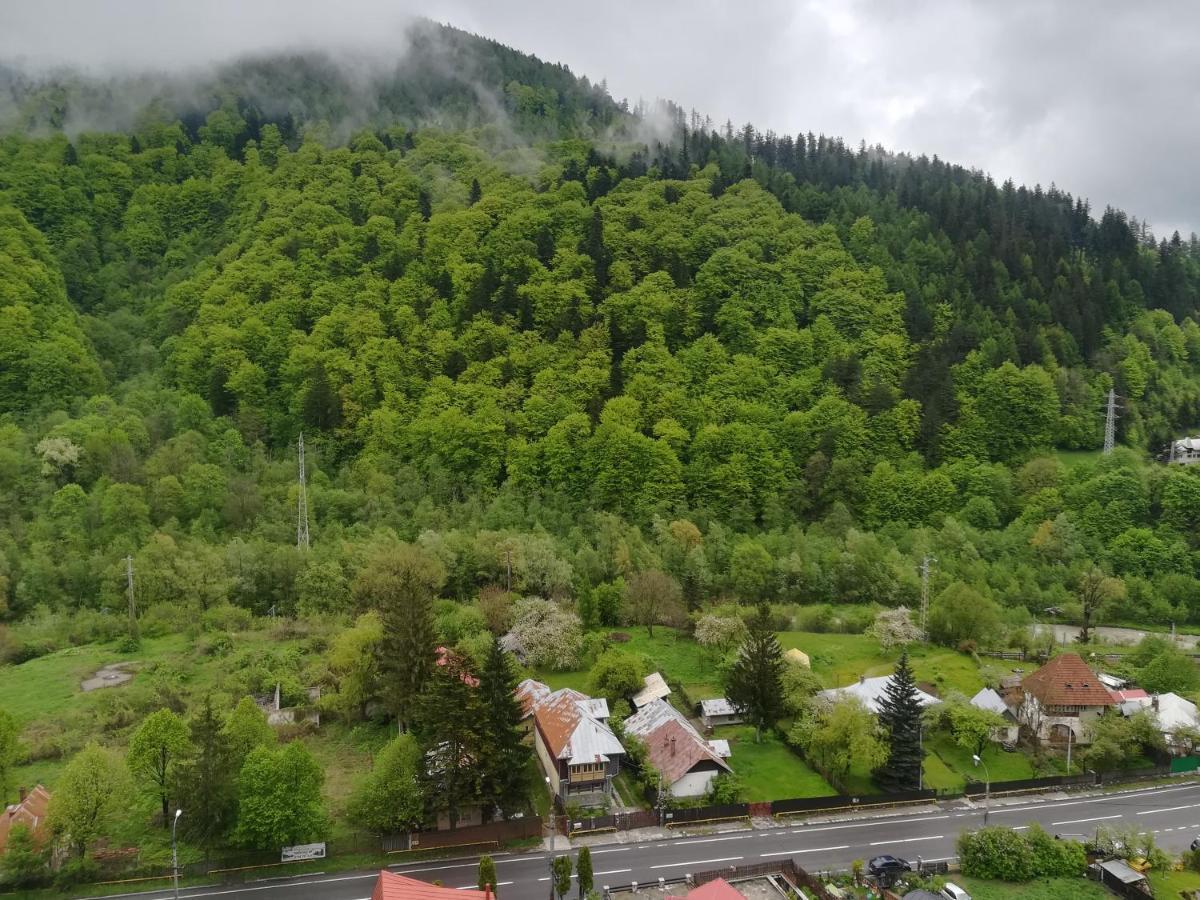 Sinaia Q Marie Apartment Buitenkant foto