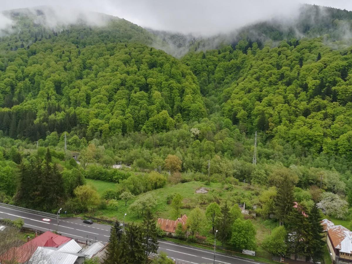 Sinaia Q Marie Apartment Buitenkant foto